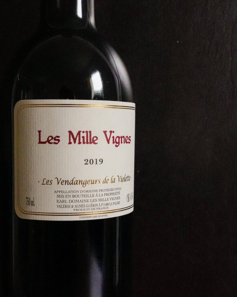 vendangeurs violette fitou les mille vignes les mille vignes