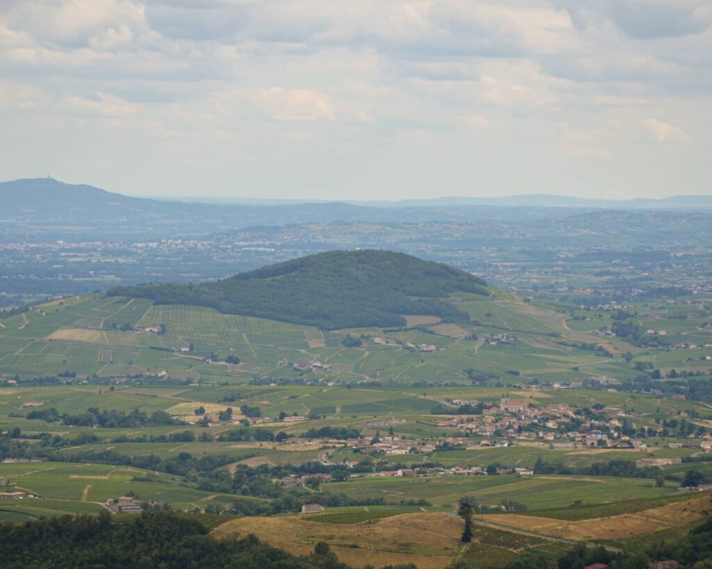 mont brouilly beaujolais Domaine Chevalier-Métrat