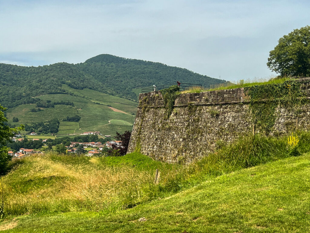 pays basque citadelle vignes aop Irouléguy