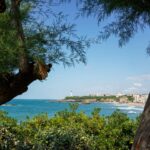 Biarritz Pays-Basque vue sur le phare